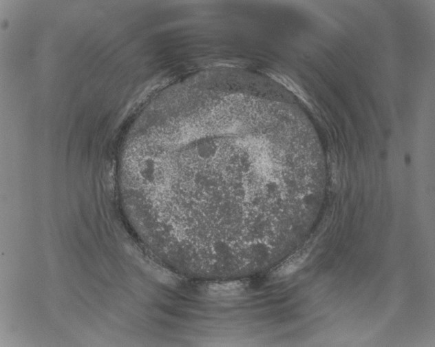 X0000067910357200605111948