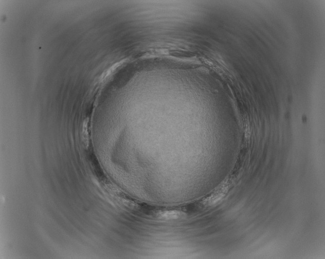 X0000067910360200605111948