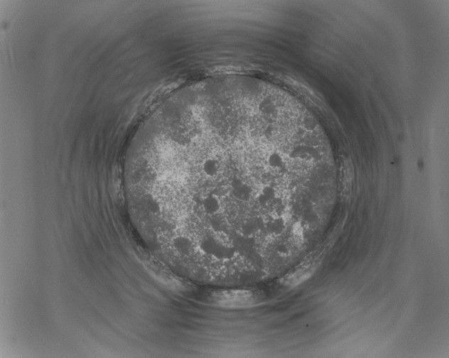 X0000067910361200605111949