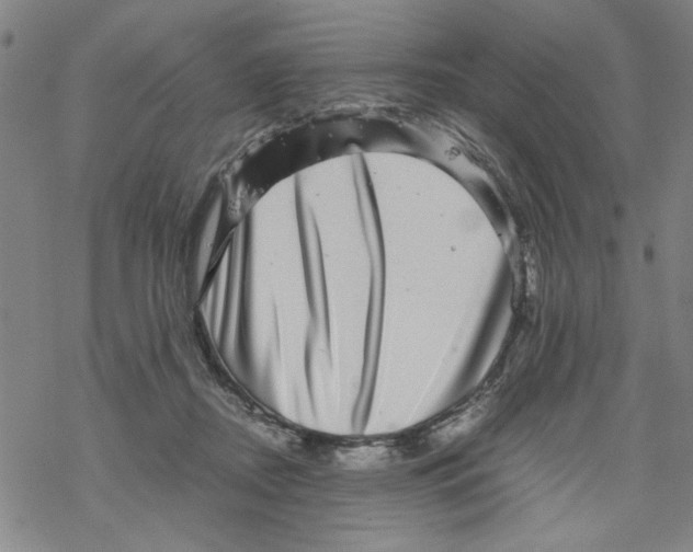 X0000067910362200605111949