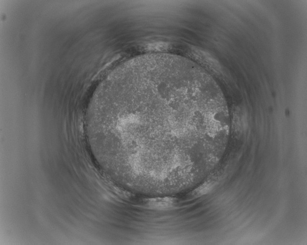 X0000067910363200605111949