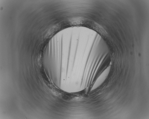 X0000067910364200605111949