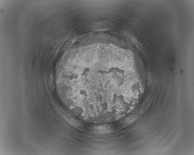 X0000067910365200605111949