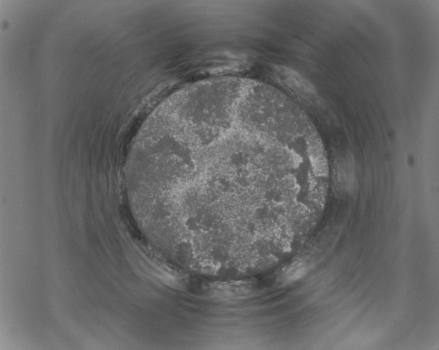 X0000067910367200605111949