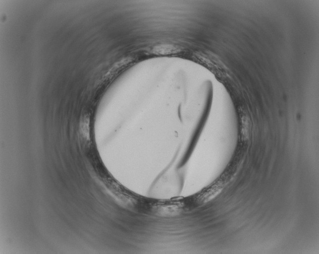 X0000067910368200605111949