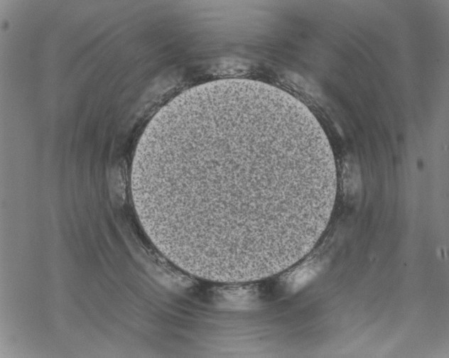 X0000067910370200605111949