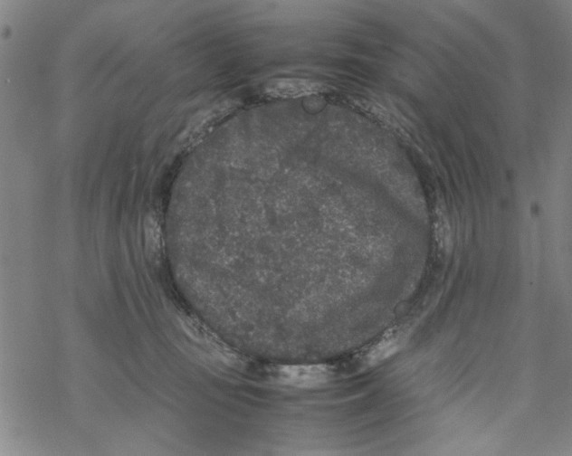 X0000067910371200605111949