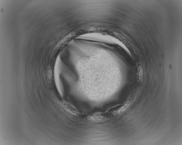 X0000067910372200605111949