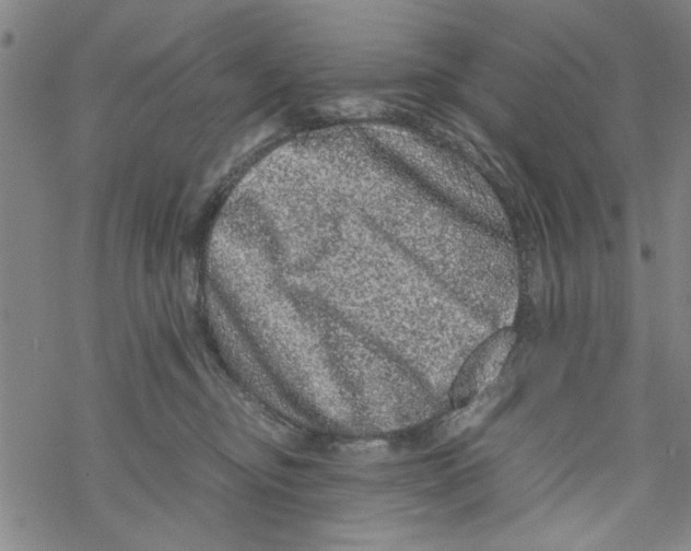 X0000067910374200605111949