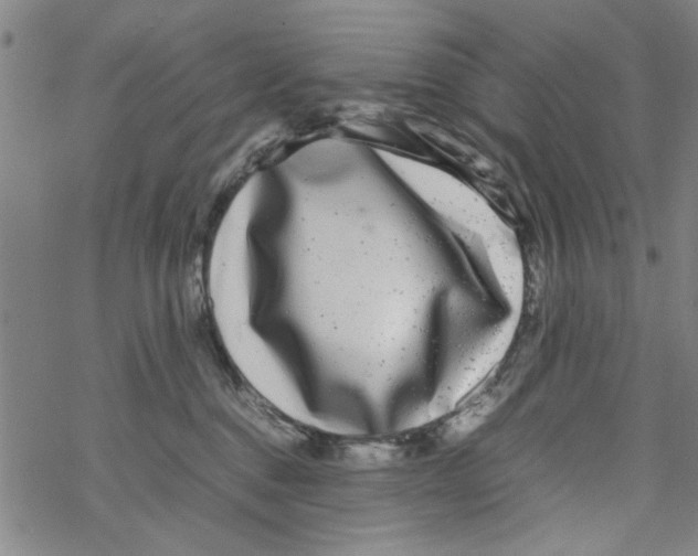 X0000067910376200605111949