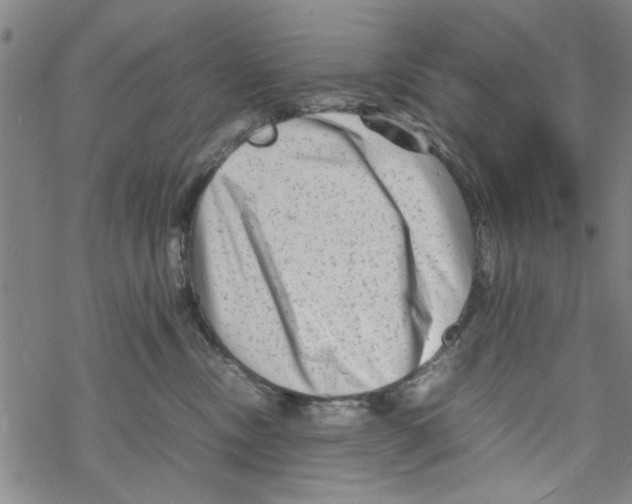 X0000067910378200605111949