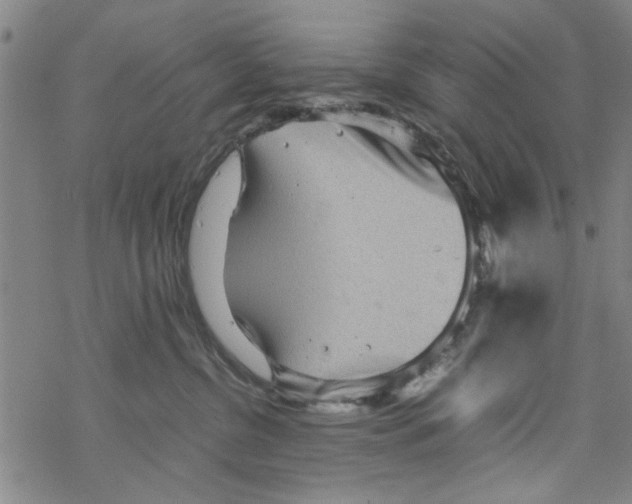 X0000067910380200605111949