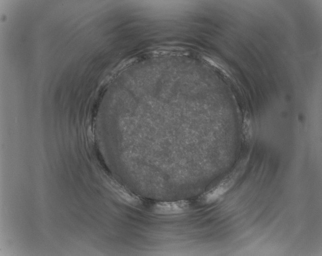 X0000067910381200605111949