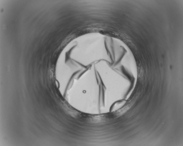 X0000067910382200605111949