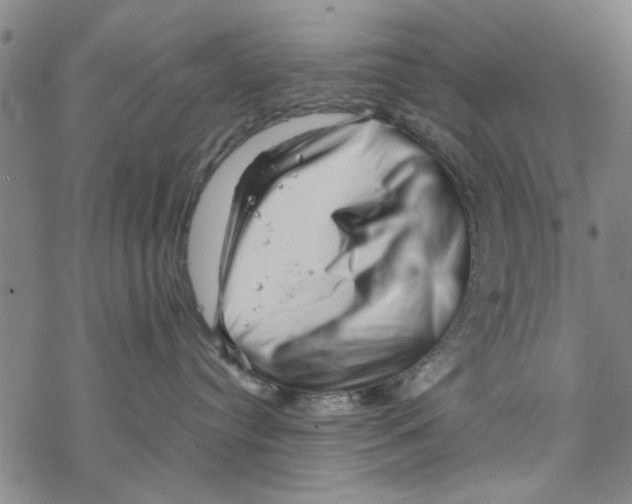 X0000067910384200605111949