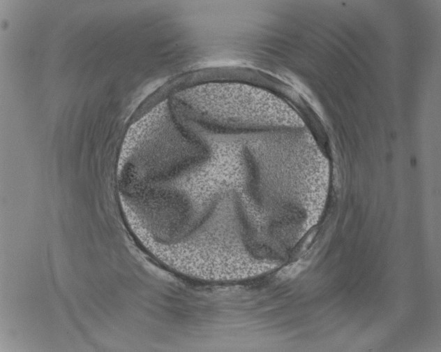 X0000067910385200605111948