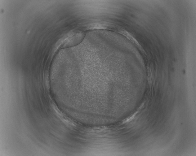 X0000067910386200605111948