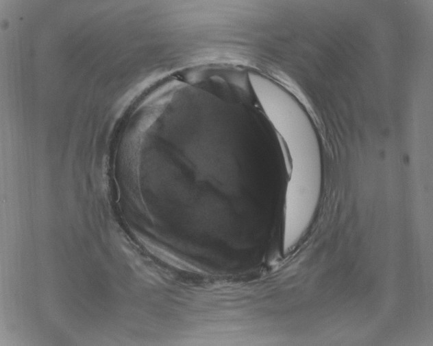 X0000067910387200605111948