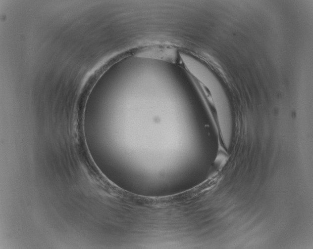 X0000067910388200605111948