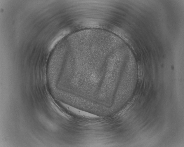 X0000067910390200605111948