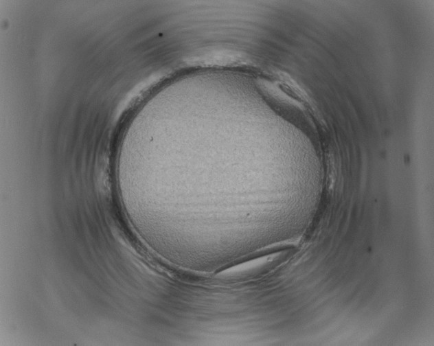 X0000067910392200605111948