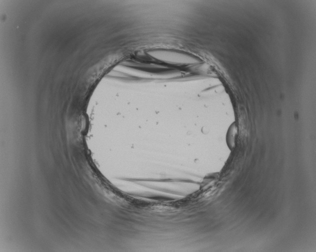 X0000067910393200605111948