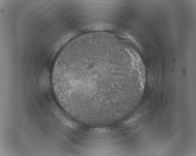 X0000067910394200605111948