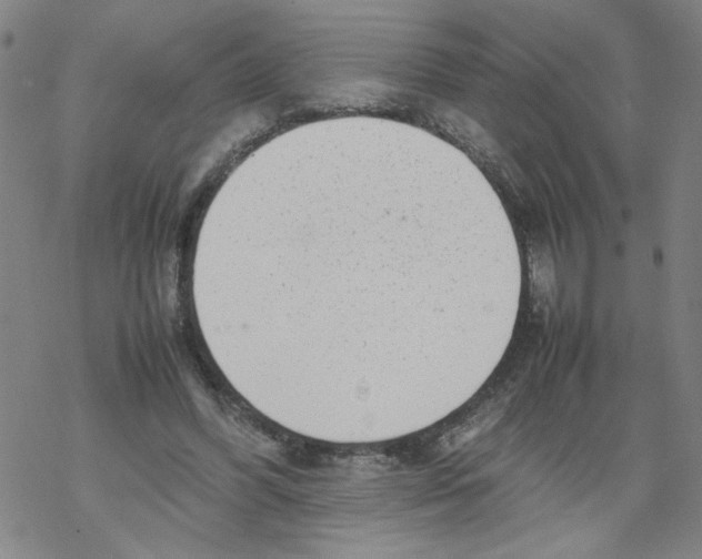 X0000067910396200605111948