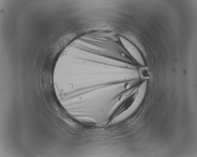 X0000067910397200605111948