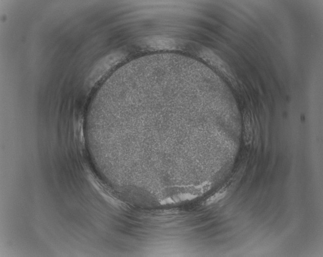 X0000067910398200605111948