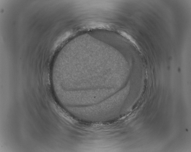 X0000067910399200605111948