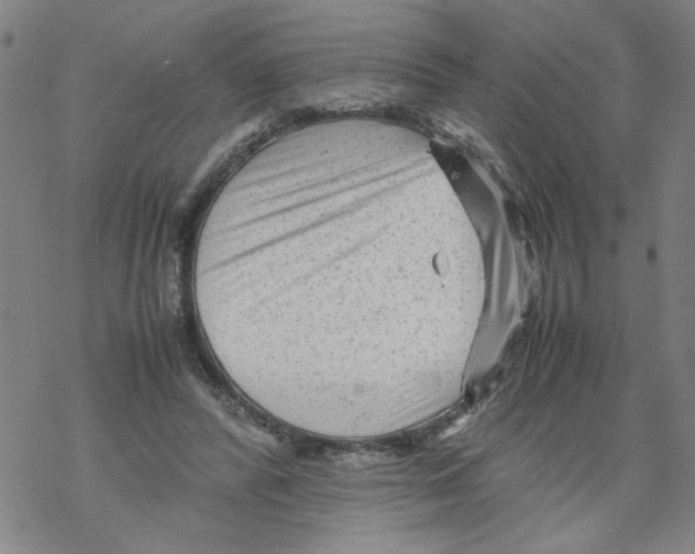 X0000067910400200605111948