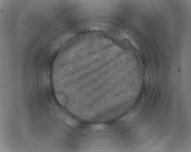 X0000067910402200605111948