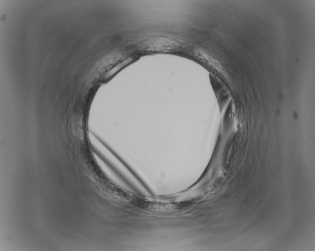 X0000067910403200605111948