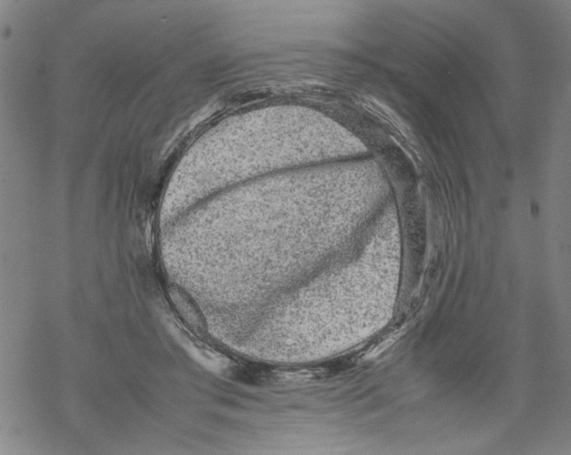 X0000067910405200605111948