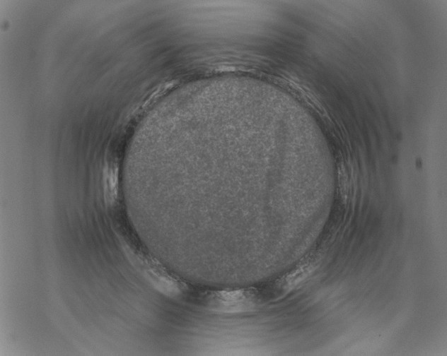 X0000067910406200605111948