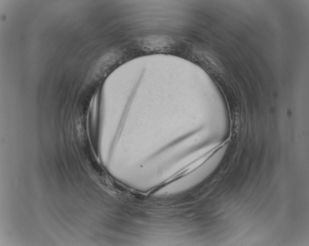 X0000067910408200605111948