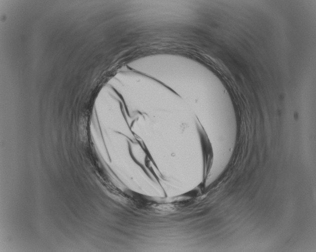 X0000067910409200605111948