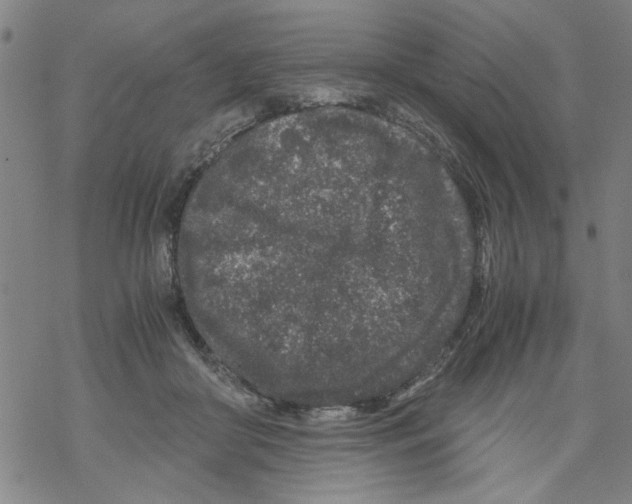 X0000067910410200605111948