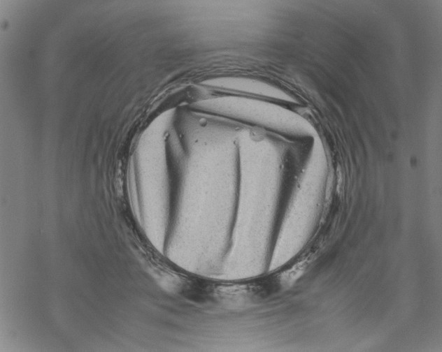 X0000067910413200605111948