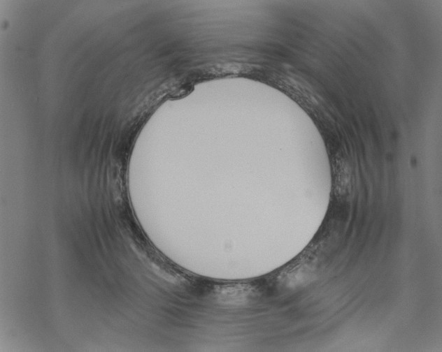 X0000067910414200605111948