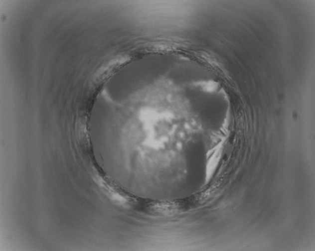 X0000067910415200605111948