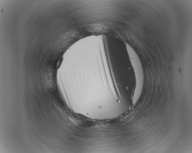 X0000067910416200605111948