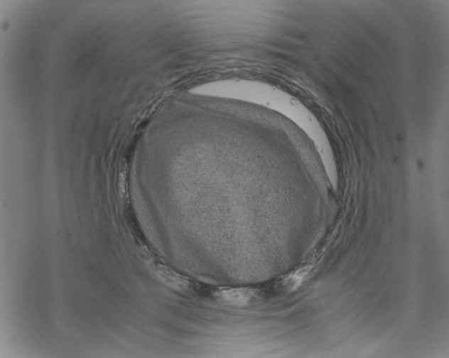 X0000067910417200605111948