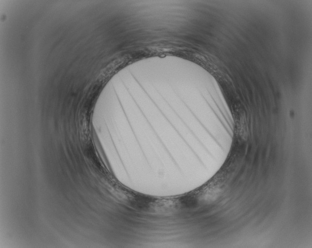 X0000067910418200605111948