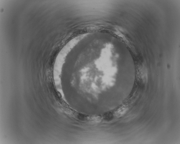 X0000067910419200605111948