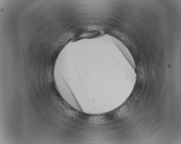 X0000067910422200605111948