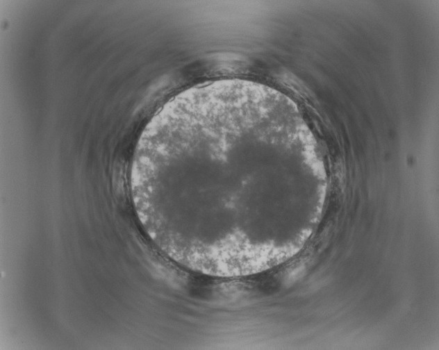 X0000067910423200605111947