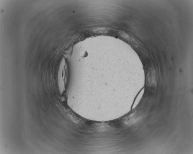 X0000067910424200605111947