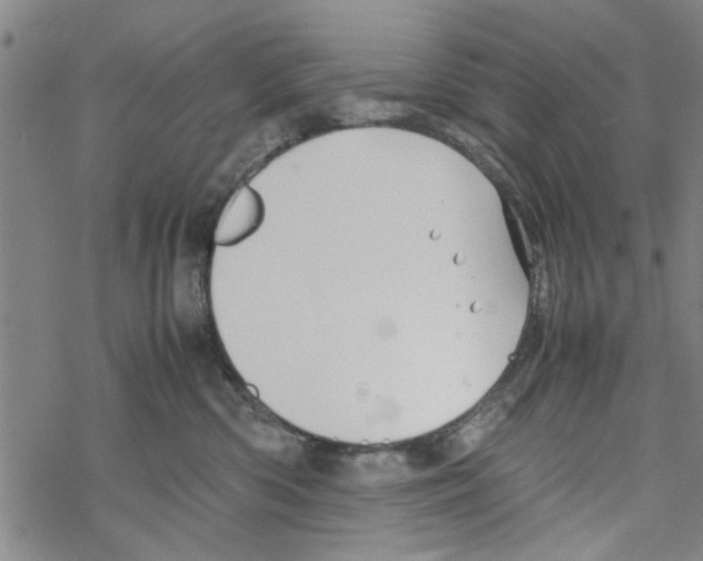 X0000067910426200605111947